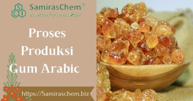 Proses Produksi Gum Arabic