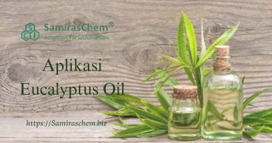 Aplikasi Eucalyptus Oil