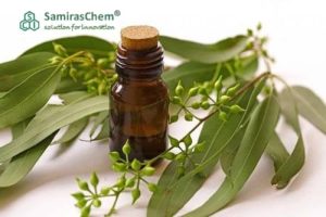 Proses Produksi Eucalyptus Oil
