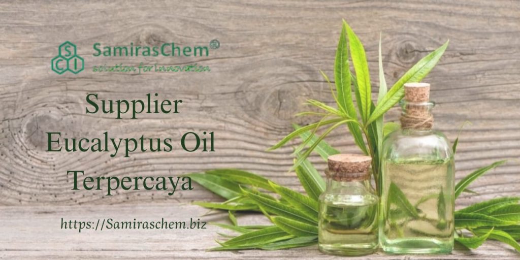Supplier Eucalyptus Oil Terpercaya.